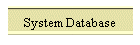 System Database